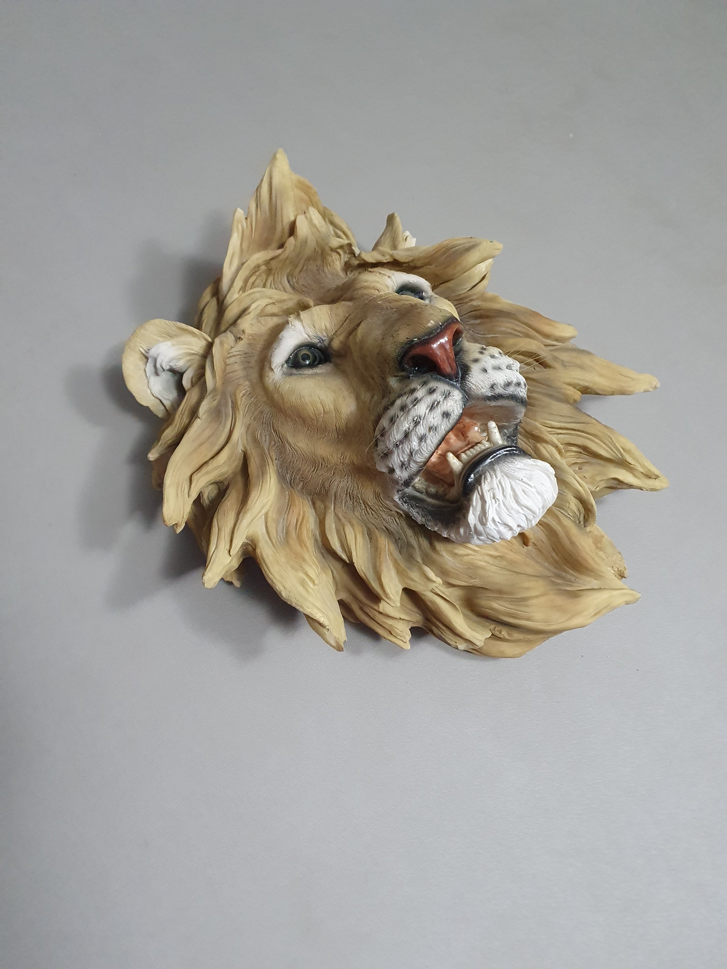 Resin / epoxy wall lion head 55 x 55 x 30 cm depth