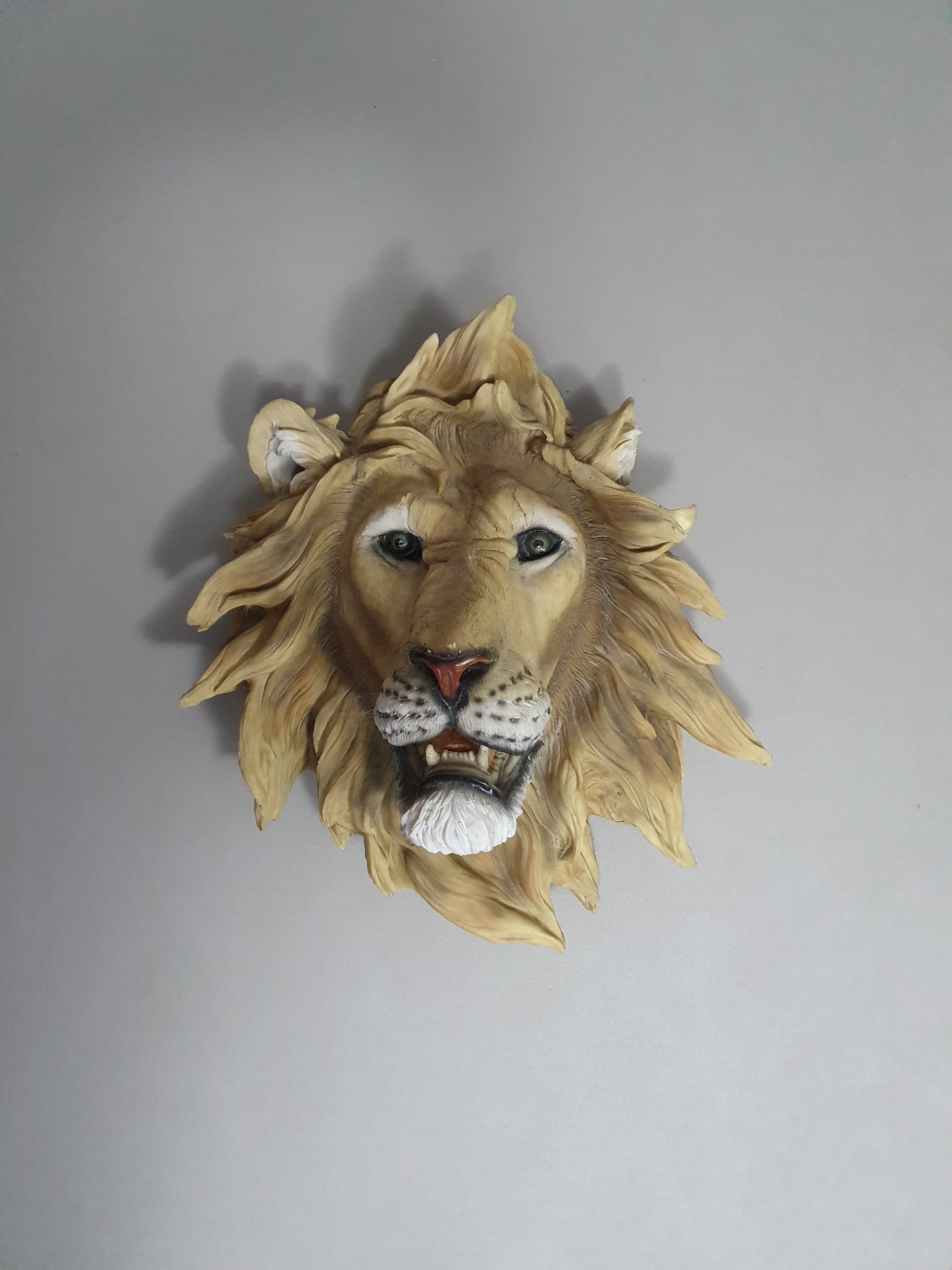 Resin / epoxy wall lion head 55 x 55 x 30 cm depth