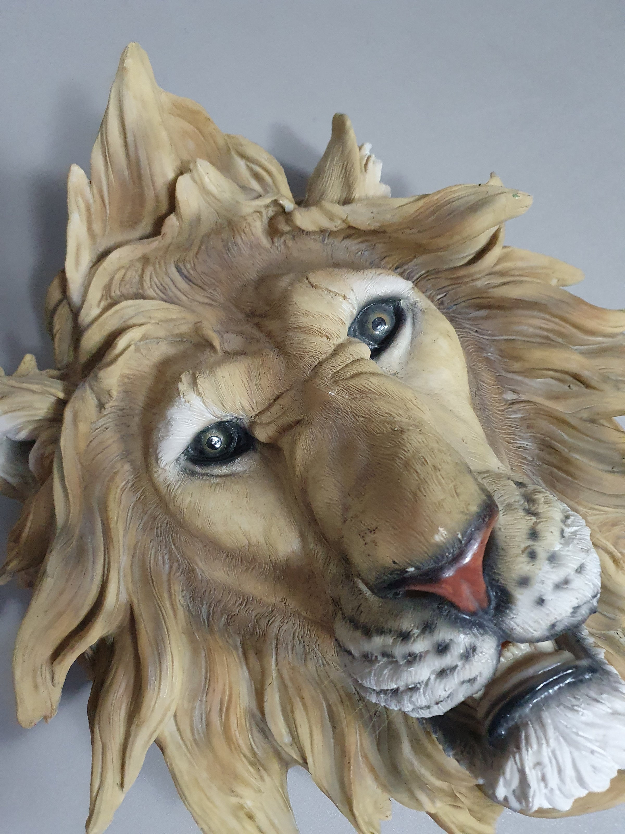 Resin / epoxy wall lion head 55 x 55 x 30 cm depth