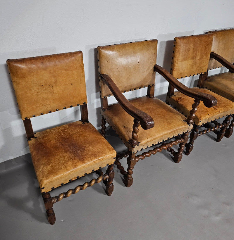 Matching set / Castle Chairs / Neo Barok / sheep leather / 1900s