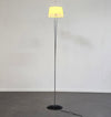 Valerio Bottin Vitt Terra Series Murano and Steel Floor Lamp for Foscarini