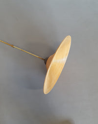 Lumi pencil reed bamboo pendant lamp 60s